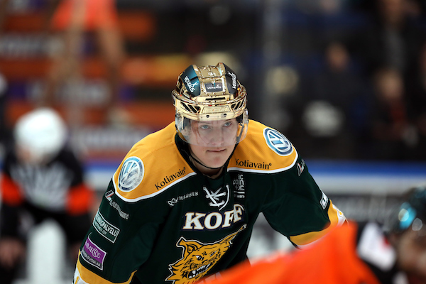 HPK - Ilves