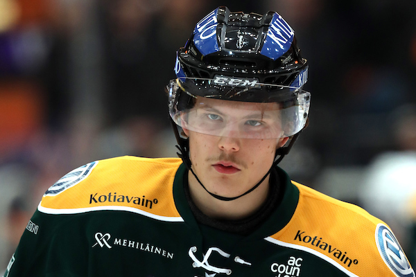 t_koivulaotto20172211